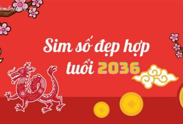 Sinh năm 2036 hợp số mấy? Sim phong thủy cho người sinh năm 2036