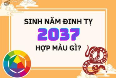 Sinh Năm 2037 Hợp Màu Gì? Màu Sắc Phong Thủy Cho Tuổi Đinh Tỵ Mệnh Thổ