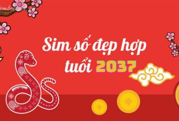 Sinh năm 2037 hợp số mấy? Sim phong thủy cho người sinh năm 2037