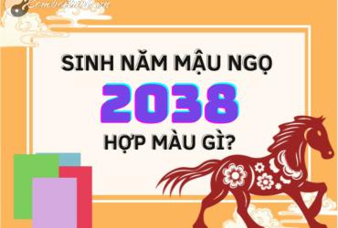Sinh Năm 2038 Hợp Màu Gì? Màu Sắc Phong Thủy Cho Tuổi Mậu Ngọ Mệnh Hỏa