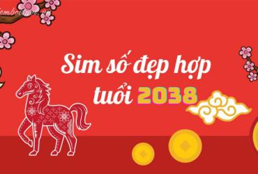 Sinh năm 2038 hợp số mấy? Sim phong thủy cho người sinh năm 2038