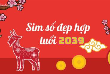 Sinh năm 2039 hợp số mấy? Sim phong thủy cho người sinh năm 2039