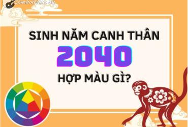 Sinh Năm 2040 Hợp Màu Gì? Màu Sắc Phong Thủy Cho Tuổi Canh Thân Mệnh Mộc