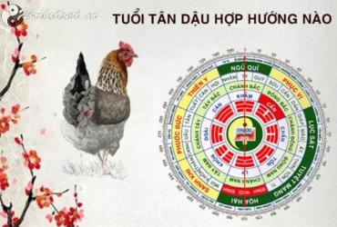 Sinh năm 2041 hợp hướng nào?