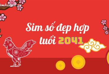 Sinh năm 2041 hợp số mấy? Sim phong thủy cho người sinh năm 2041