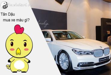 Sinh năm 2041 mua xe màu gì?