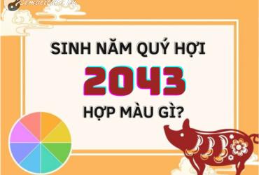Sinh Năm 2043 Hợp Màu Gì? Màu Sắc Phong Thủy Cho Tuổi Quý Hợi Mệnh Thủy
