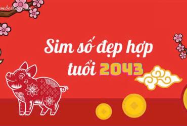 Sinh năm 2043 hợp số mấy? Sim phong thủy cho người sinh năm 2043