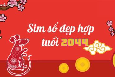 Sinh năm 2044 hợp số mấy? Sim phong thủy cho người sinh năm 2044