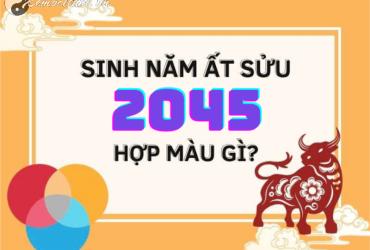 Sinh Năm 2045 Hợp Màu Gì? Màu Sắc Phong Thủy Cho Tuổi Ất Sửu Mệnh Kim