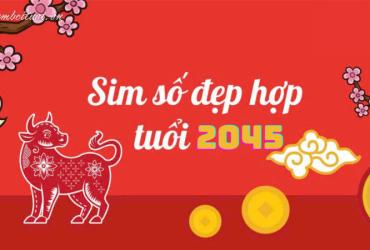 Sinh năm 2045 hợp số mấy? Sim phong thủy cho người sinh năm 2045