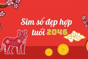 Sinh Năm 2046 Hợp Số Mấy? Sim Phong Thủy Cho Người Sinh Năm 2046