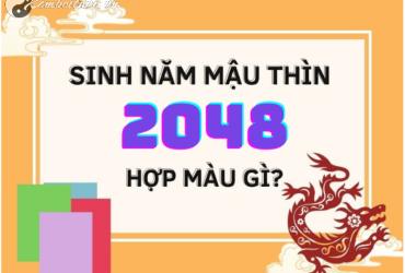 Sinh Năm 2048 Hợp Màu Gì? Màu Sắc Phong Thủy Cho Tuổi Mậu Thìn Mệnh Mộc