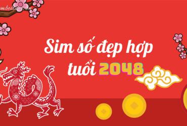 Sinh năm 2048 hợp số mấy? Sim phong thủy cho người sinh năm 2048