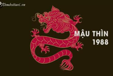Sinh năm 2048 mệnh gì? Phân tích chi tiết về tử vi tuổi Mậu Thìn