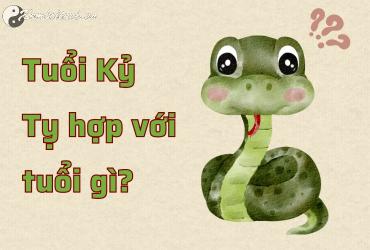 Sinh Năm 2049 Hợp Màu Gì? Màu Sắc Phong Thủy Cho Tuổi Kỷ Tỵ Mệnh Mộc