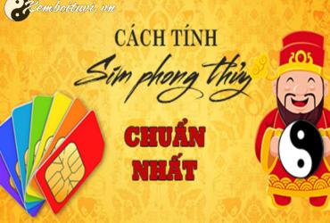 Bí Mật Cách Tính Sim Phong Thủy Giúp Hút Tài Lộc và Tránh Vận Rủi