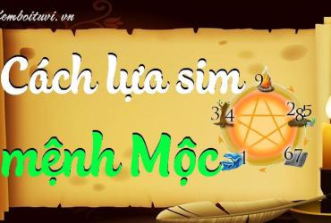 Khám Phá Bí Mật Sim Hợp Mệnh Mộc: Chiêu Tài Lộc, Đổi Vận May