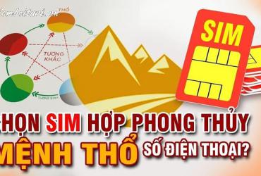 Khám Phá Bí Mật Sim Hợp Mệnh Thổ: Chìa Khóa Đưa Bạn Đến Thành Công và Tài Lộc
