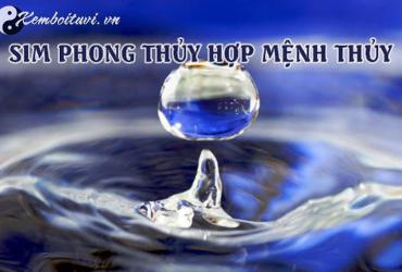 Chọn Sim Hợp Mệnh Thủy – Bí Quyết Thu Hút Tài Lộc và May Mắn