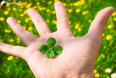 Những Điều Nên Làm Cuối Năm Để Thu Hút May Mắn Và Tài Lộc Cho Năm Mới