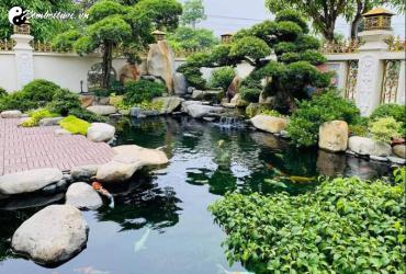 Phong Thủy Hồ Nước Trước Nhà: Bí Quyết Thu Hút Tài Lộc Và Thịnh Vượng