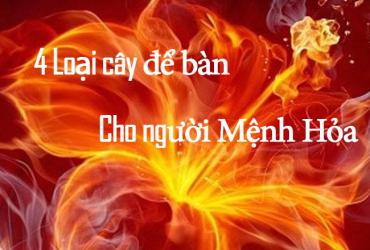 Phong Thủy Nhà Ở Cho Người Mệnh Hỏa: Bí Quyết Hài Hòa Năng Lượng