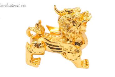 Vật Phẩm Phong Thủy Cho Người Mệnh Hỏa