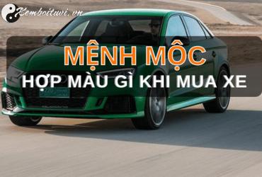 Mệnh Mộc Mua Xe Màu Gì Để Hút Tài Lộc, Đón May Mắn Cả Năm?