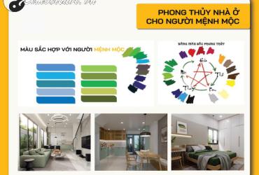 Bí Quyết Phong Thủy Nhà Ở Cho Người Mệnh Mộc: Thu Hút Tài Lộc Và Hạnh Phúc