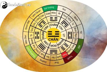 Cung Chấn: Ý Nghĩa và Tác Động Sâu Rộng Trong Phong Thủy Bát Trạch