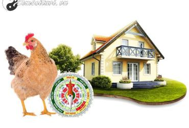 Chọn Hướng Nhà Chuẩn Phong Thủy Cho Người Tuổi Dậu: Hòa Thuận, Thịnh Vượng, Phát Đạt
