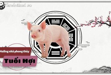 Chọn Hướng Nhà Chuẩn Phong Thủy Cho Người Tuổi Hợi: An Lạc, Thành Công, Thịnh Vượng