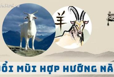 Chọn Hướng Nhà Chuẩn Phong Thủy Cho Người Tuổi Mùi: An Lạc, Phát Triển, Bền Vững