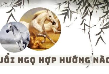 Chọn Hướng Nhà Chuẩn Phong Thủy Cho Người Tuổi Ngọ: Tài Lộc, Hạnh Phúc, An Cư
