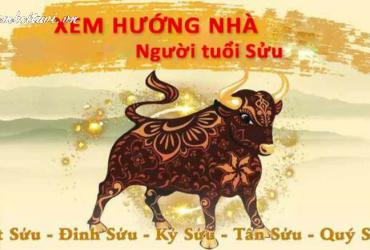 Chọn Hướng Nhà Chuẩn Phong Thủy Cho Người Tuổi Sửu: May Mắn, Tài Lộc, Sức Khỏe