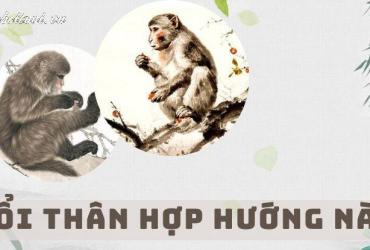 Chọn Hướng Nhà Chuẩn Phong Thủy Cho Người Tuổi Thân: Thành Công, Tài Lộc, Sức Khỏe