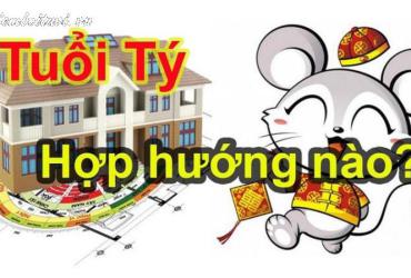Chọn Hướng Nhà Chuẩn Phong Thủy Cho Người Tuổi Tý: Tài Lộc, Sức Khỏe, Hạnh Phúc