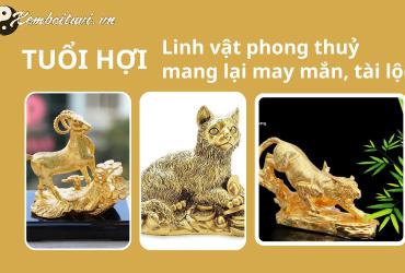 Khám Phá Vật Phẩm Phong Thuỷ Giúp Người Tuổi Hợi Thu Hút Tài Lộc, Bình An, Và Thành Công