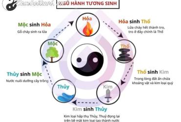 Khám Phá Bí Mật Phái Ngũ Hành: Cách Cân Bằng Năng Lượng và Thu Hút Tài Lộc