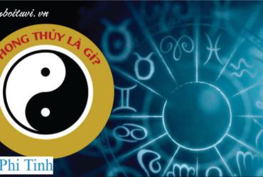 Khám Phá Phái Phi Tinh: Bí Quyết Đưa Tài Lộc và Sức Khỏe Vào Nhà