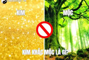 Kim Khắc Mộc: Tìm Hiểu Mối Quan Hệ Tương Khắc Trong Ngũ Hành