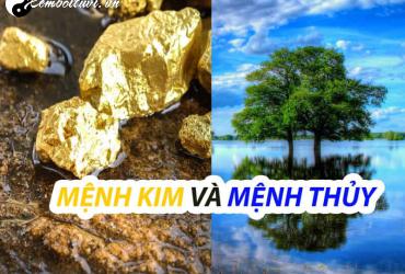 Kim Sinh Thủy: Quy Luật Tương Sinh Và Ứng Dụng Trong Phong Thủy