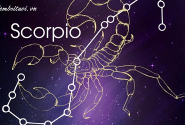 Bật Mí Bí Quyết Chinh Phục Người Yêu Bọ Cạp