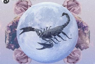 Bí Ẩn Về Cung Mặt Trăng Bọ Cạp - Đặc Điểm Và Sự Kết Hợp Với 12 Cung Mặt Trời