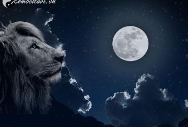Bí Ẩn Về Cung Mặt Trăng Sư Tử - Đặc Điểm Và Sự Kết Hợp Với 12 Cung Mặt Trời