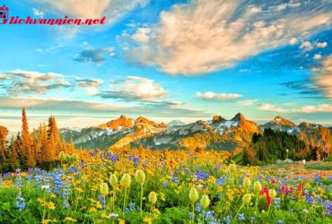 Màu Sắc Phong Thủy Mùa Thu - Bí Quyết Hài Hòa Năng Lượng Cho Không Gian Sống