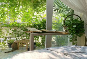 Mẹo Phong Thủy Cho Ngôi Nhà Luôn Mát Mẻ Ngày Hè