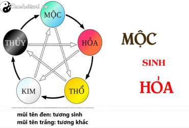 Mộc Sinh Hỏa: Quy Luật Tương Sinh Trong Ngũ Hành