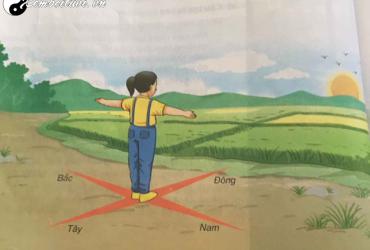 Nhà - Đất Tương Xứng Nhau: Bí Quyết Hài Hòa Trong Phong Thủy